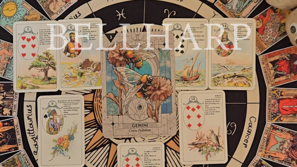 スターコードアストロオラクル